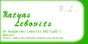 matyas lebovits business card